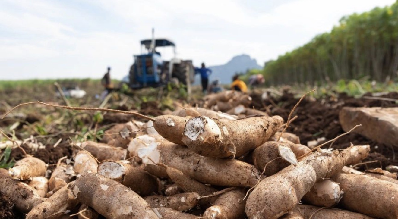 Modern Sustainable Agriculture